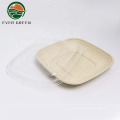 Disposable Biodegrade Bagasse Sugarcane Bento Plate